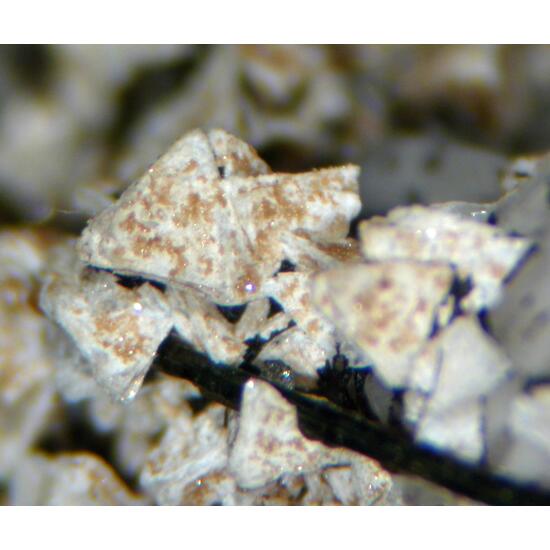 Eudidymite & Genthelvite
