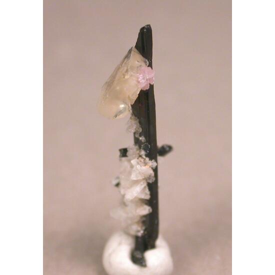 Leucophanite Epididymite Ancylite-(Ce) & Aegirine