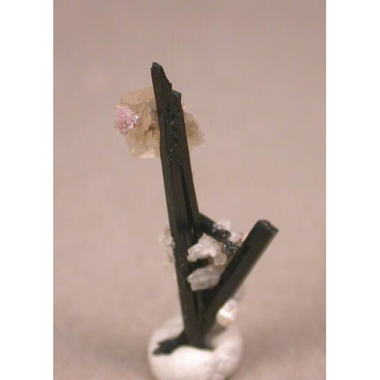 Leucophanite Epididymite Ancylite-(Ce) & Aegirine