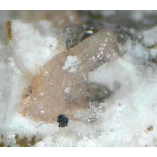 Niveolanite Petersenite-(Ce) & Franconite