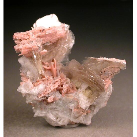 Polylithionite Schizolite & Leucophanite