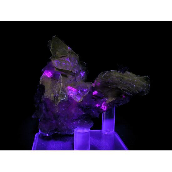 Polylithionite Schizolite & Leucophanite