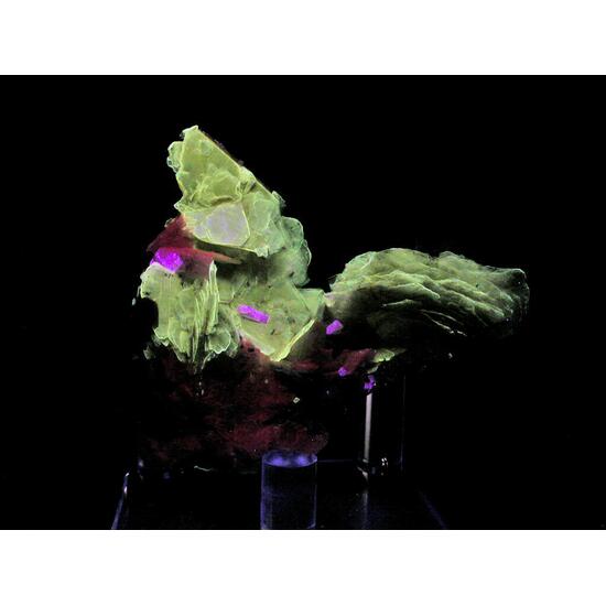 Polylithionite Schizolite & Leucophanite