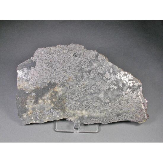 Silver & Skutterudite