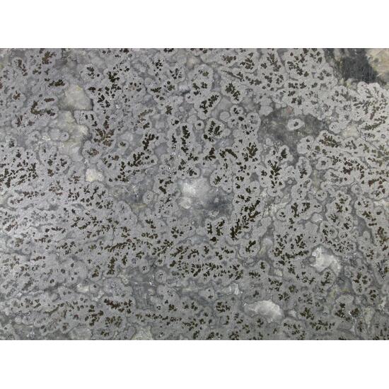 Silver & Skutterudite