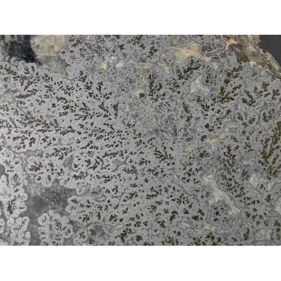 Silver & Skutterudite