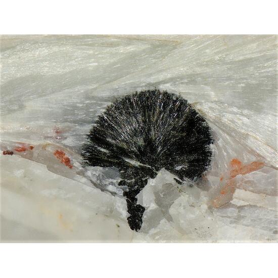 Pectolite & Julgoldite-(Fe2+)