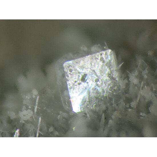 Fluorapophyllite-(K)