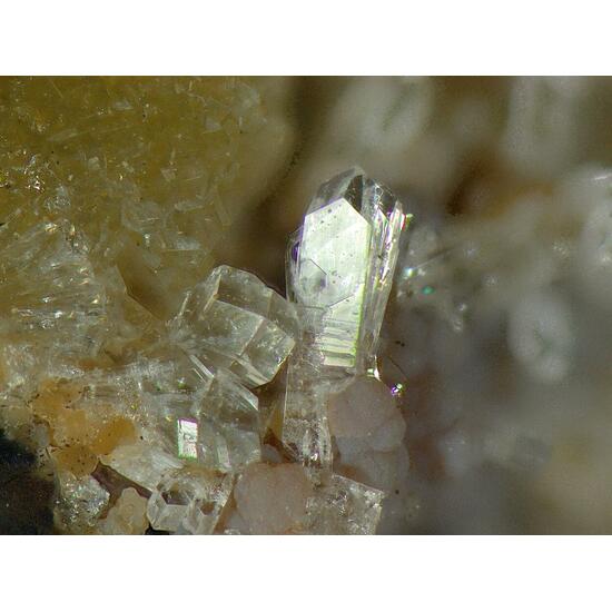 Phillipsite