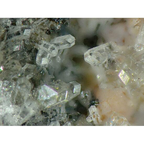 Phillipsite