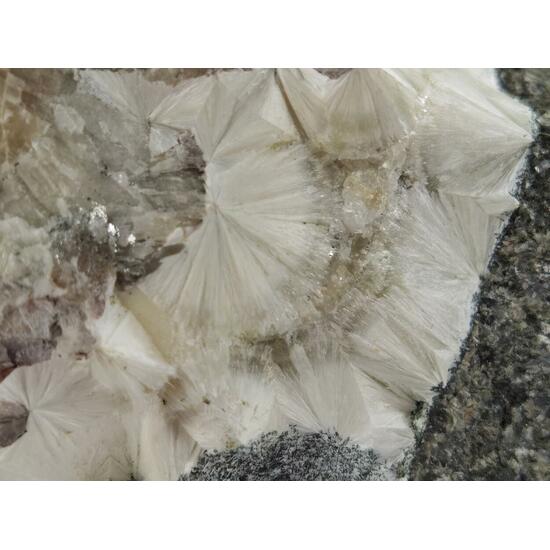 Analcime & Pectolite