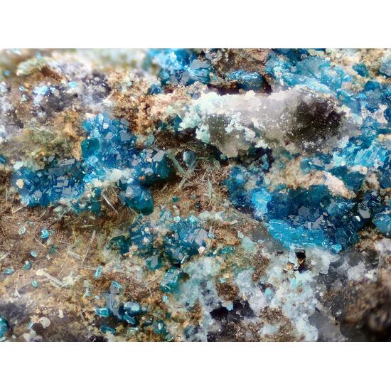 Haydeeite & Atacamite