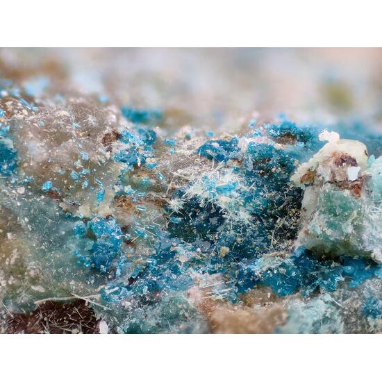 Haydeeite & Atacamite