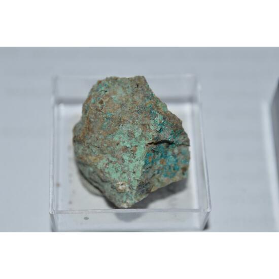 Haydeeite & Atacamite