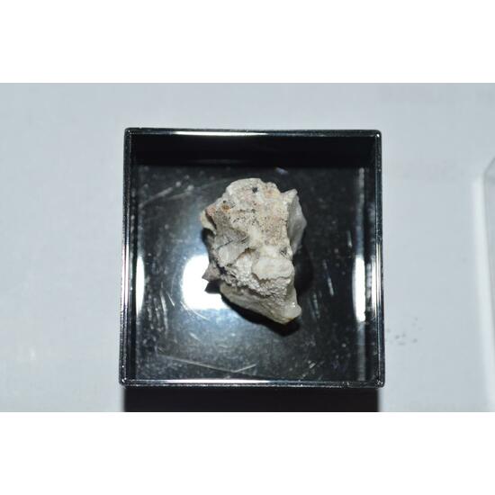 Irhtemite