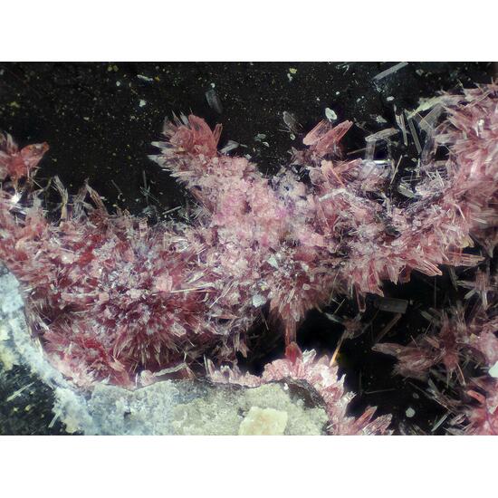 Erythrite