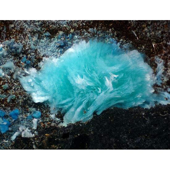 Schulenbergite & Langite