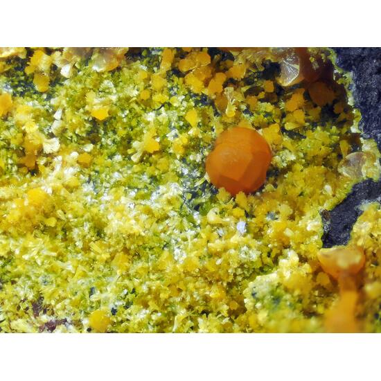 Beraunite Cacoxenite