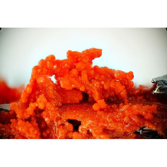 Ottensite & Stibnite