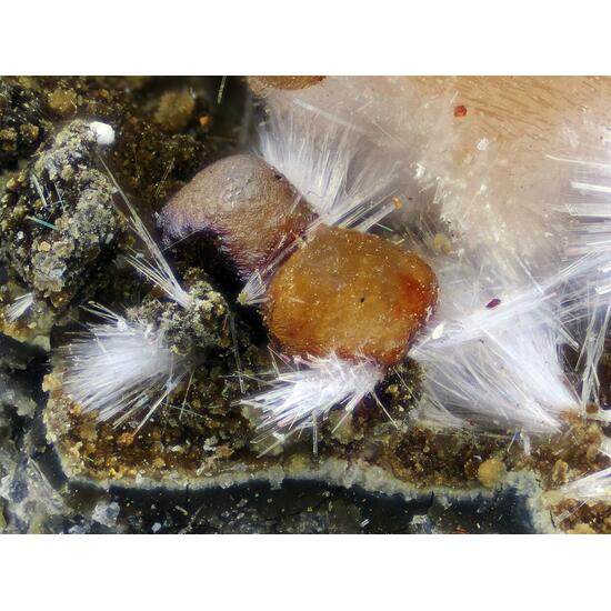 Aragonite Phillipsite & Siderite