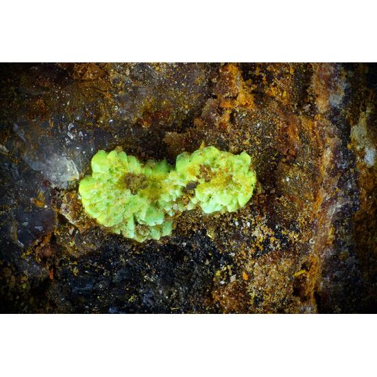 Torbernite & Phosphuranylite