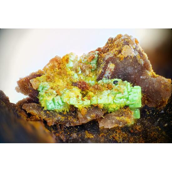 Torbernite & Phosphuranylite