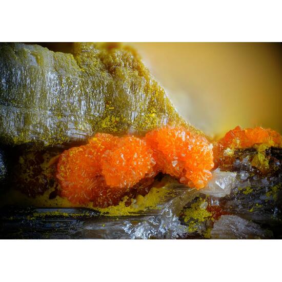 Chervetite Francevillite & Curienite