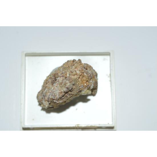 Whewellite
