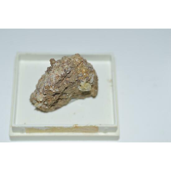 Whewellite