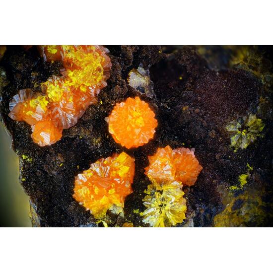 Francevillite & Mounanaite