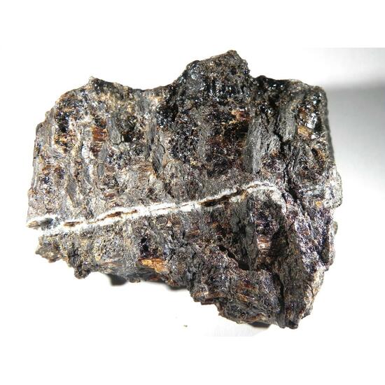 Duxite With Petrified Wood & Quartz