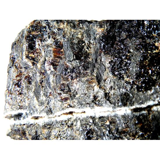 Duxite With Petrified Wood & Quartz