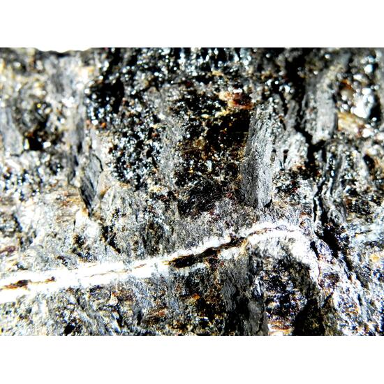 Duxite With Petrified Wood & Quartz