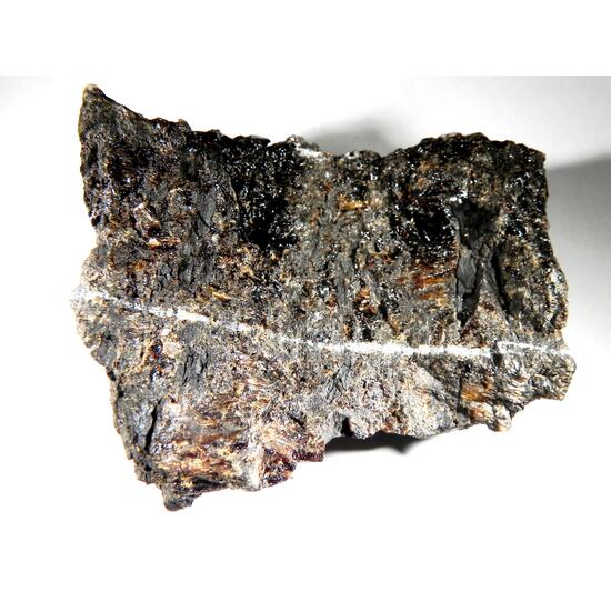 Duxite With Petrified Wood & Quartz