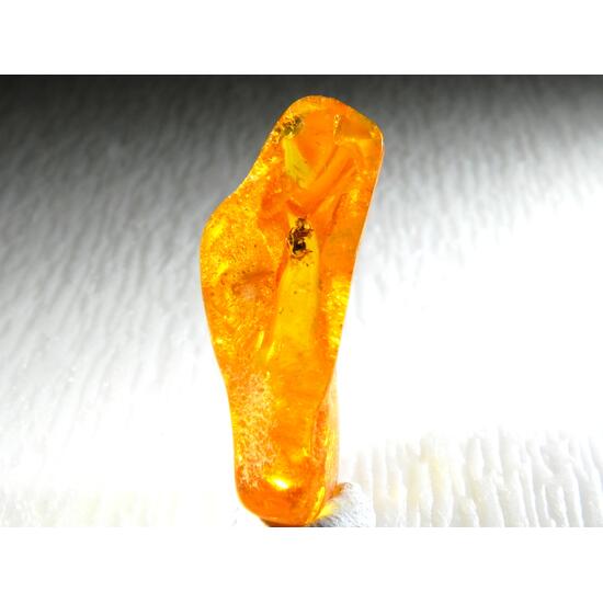 Amber With Inclusions