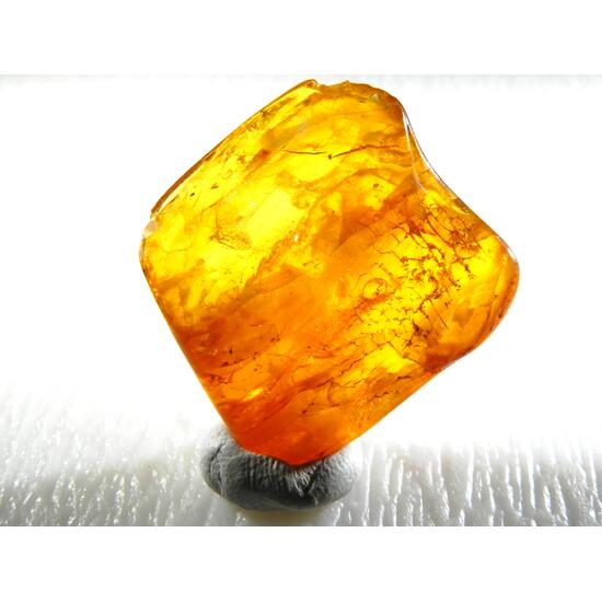 Amber With Inclusions