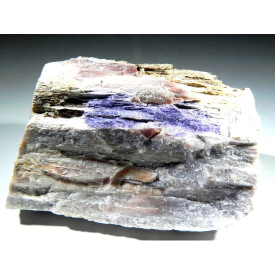 Fluorite & Quartz Psm Petrified Wood