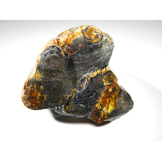 Petrified Wood In Amber