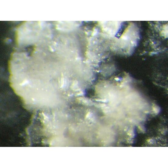 Schultenite Aragonite On Galena & Sphalerite