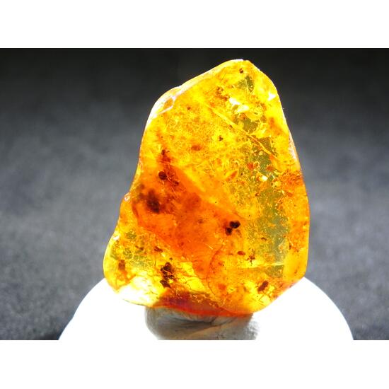 Amber With Inclusions