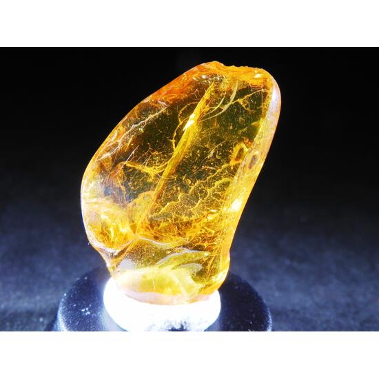 Amber With Inclusions