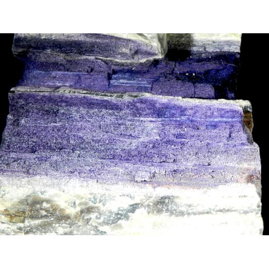 Fluorite & Quartz Psm Petrified Wood