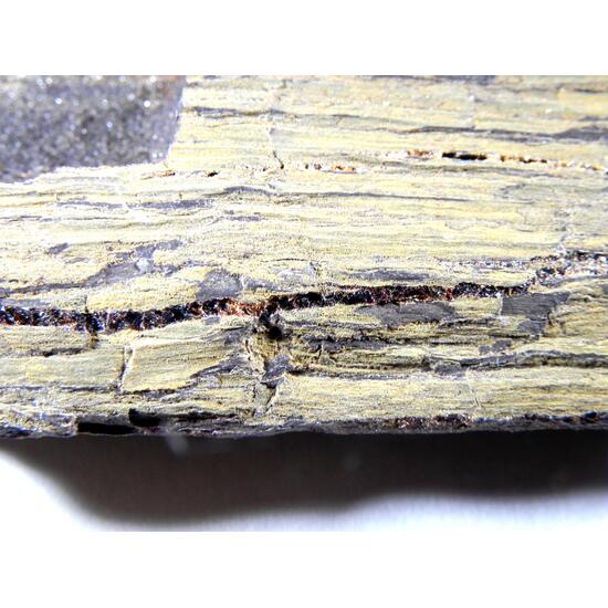 Amber Duxite On Petrified Wood