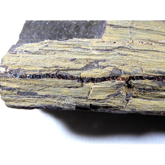 Amber Duxite On Petrified Wood