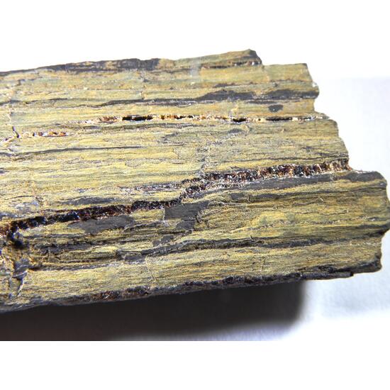 Amber Duxite On Petrified Wood
