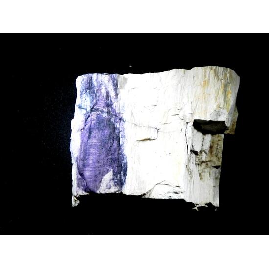 Fluorite & Quartz Psm Petrified Wood