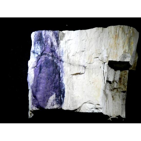 Fluorite & Quartz Psm Petrified Wood