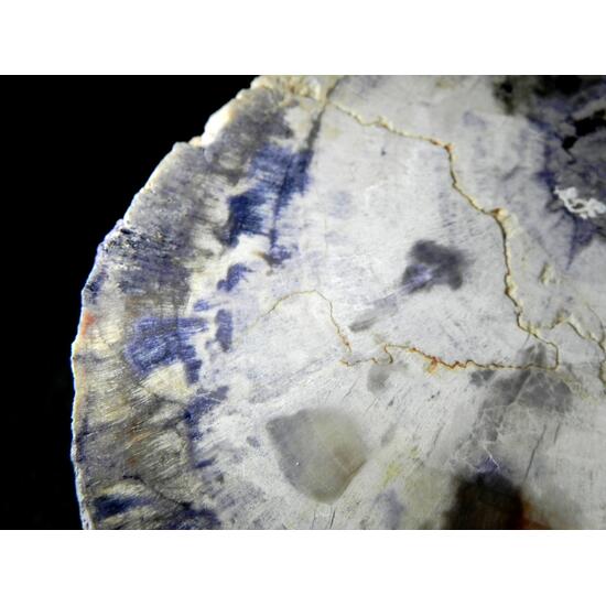 Fluorite & Quartz Psm Petrified Wood