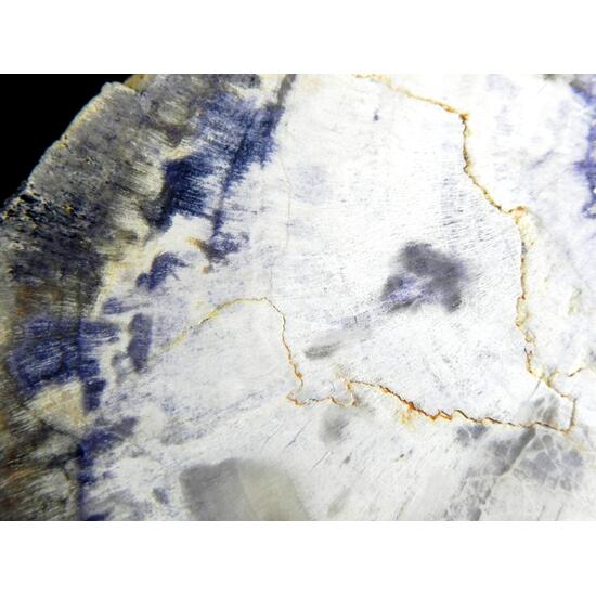 Fluorite & Quartz Psm Petrified Wood