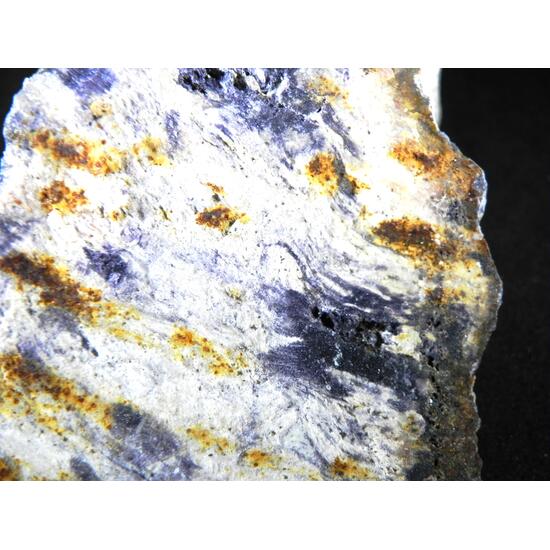 Fluorite & Quartz Psm Petrified Wood